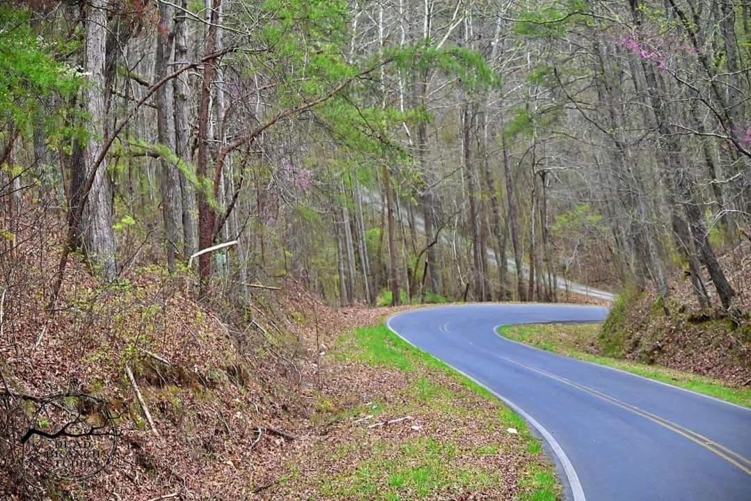 Fox Mountain